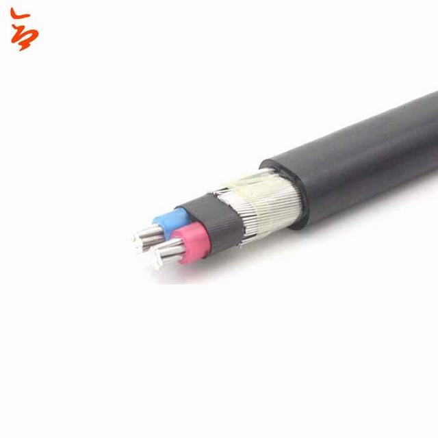 2 phase core flat cable concentric conductor cable XLPE insulated wire cable price list