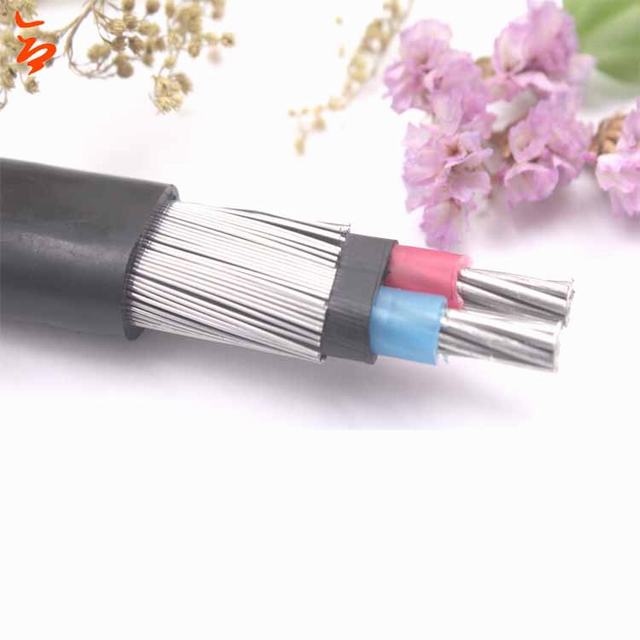 2018 Best Selling Aluminum alloy XLPE Insulated Concentric Cable