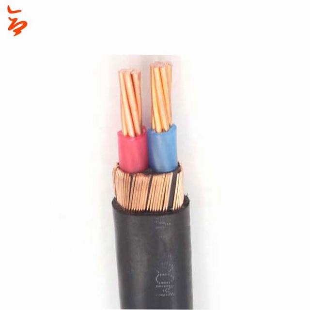 Copper conductor xlpe insulated armoured cable electrical wire China