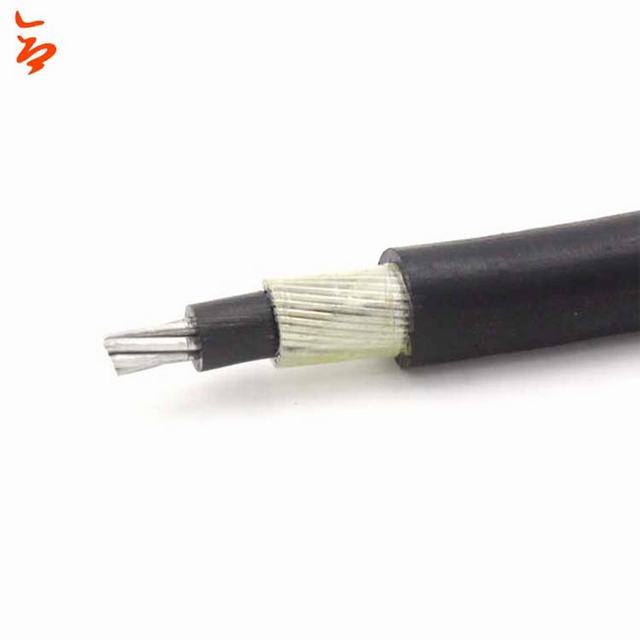 Hot sale xlpe insulated steel wire armoured concentric cable