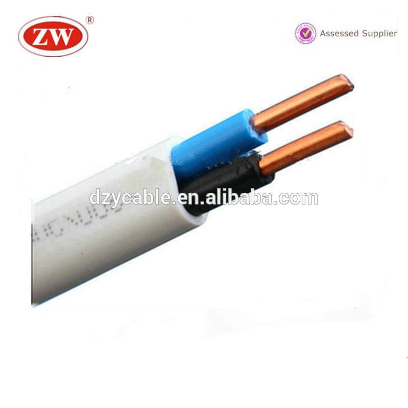 with 22 years experience 300/500V, 450/750V Copper core pvc insulated house wiring electrical cable and wires