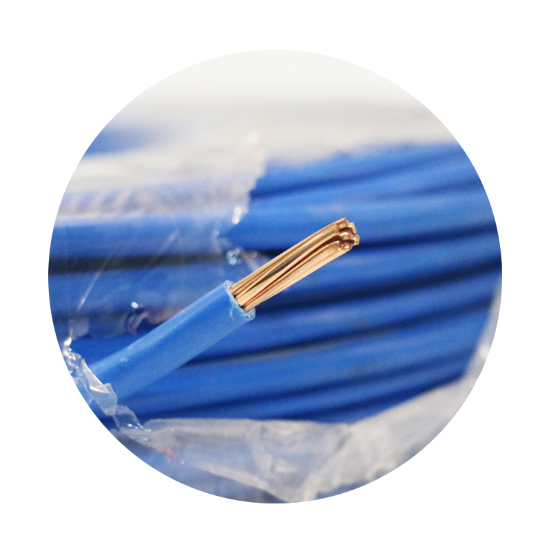 2.5mm 4mm 6mm 10mm 450/750 V koper PVC geïsoleerde elektrische huis draad kabel