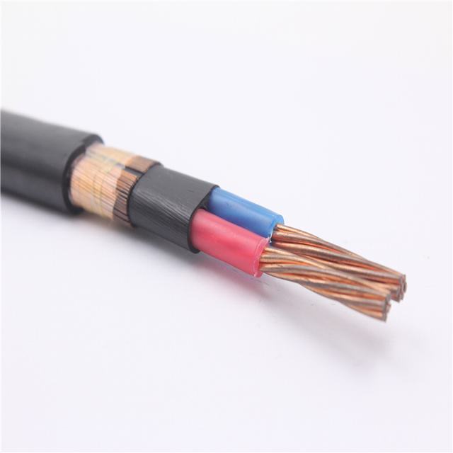 Copper conductor 2 core armoured nylon sheath household concentric cable for South America