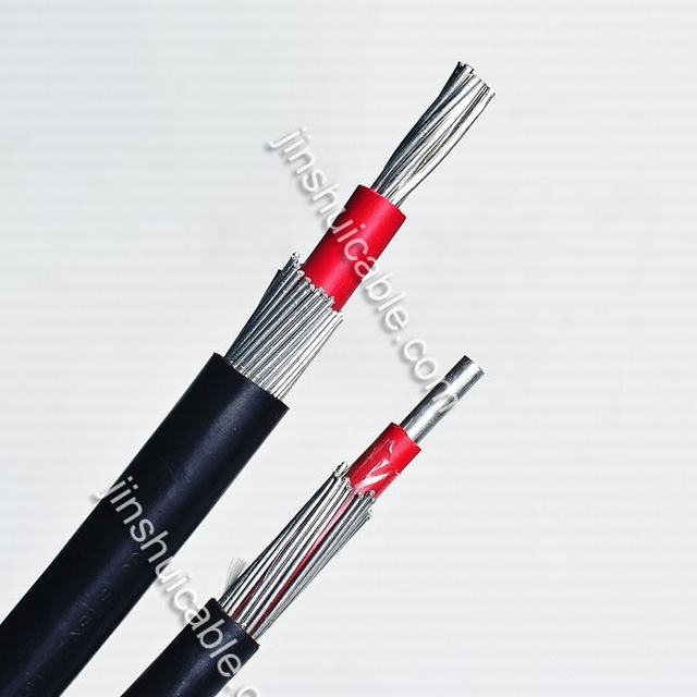 2x6/6mm concentrici cavo/concentrica xlpe ha isolato il cavo/PE isolato concentrici cavo