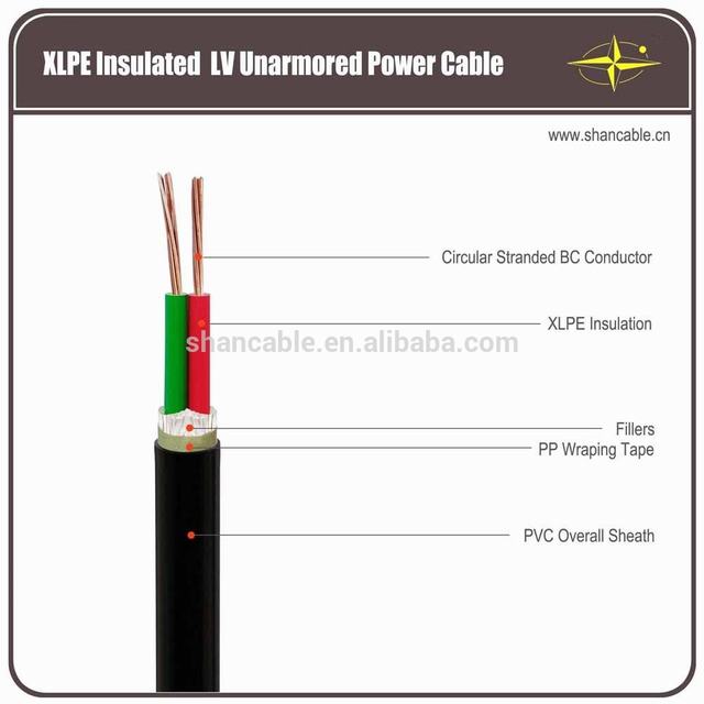 Best Selling 0.6/1kV 600/1000V low voltage copper conductor 2x4mm2 two core XLPE insulation LT electric power cable