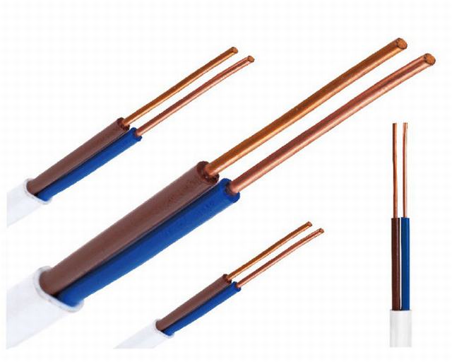 Cable eléctrico de 2 y 3 núcleos de cobre macizo Conduntor 300/500v para la construcción