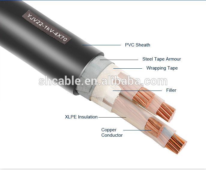2 noyau 2.5mm2 XLPE/PVC câble d'alimentation
