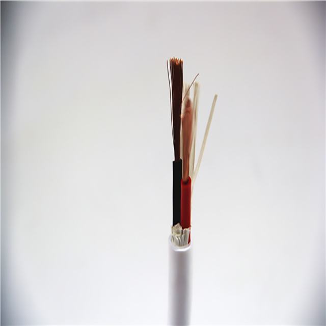 4mm2 2C PVC Isolierung und Mantel Elektrische Kabel