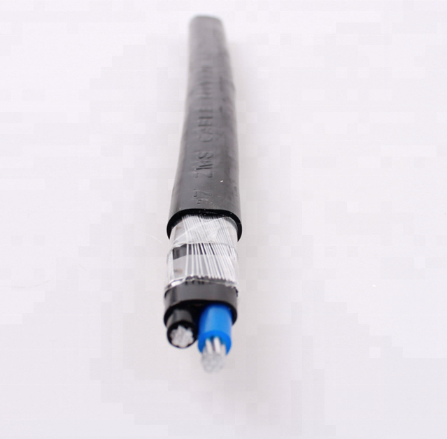 450/750V 2*4mm2 núcleo de aluminio negro/azul/XLPE PVC forrado Cable concéntrico