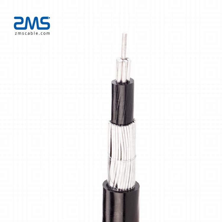 600/1000V PVC Isolé Monophasé Câble Concentrique avec Conducteur En Cuivre ou En Aluminium pour L'approvisionnement En Électricité