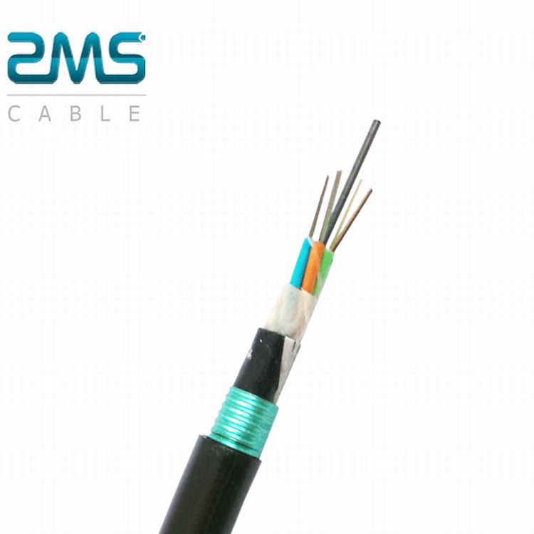 China Supplier optic fiber cable 4 6 12 core customized optical armored cable for outdoor