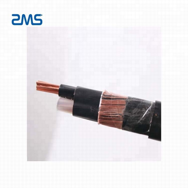 Flat with full neutral entrance cable concentric cable