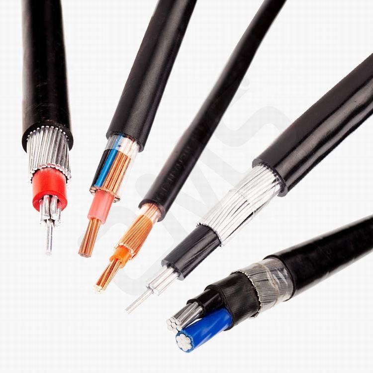 2x6mm2 2x16mm2 3x16mm2 4x16mm2 CU/AL leiter conentric kabel Concentrico Kabel
