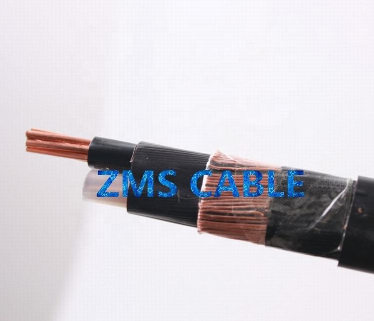 XLPE Insulated Telanjang atau Netral Mengenai Saham 4 Mm 6 Mm 10 Mm 16 Mm Konduktor Tembaga Concentrico Kabel
