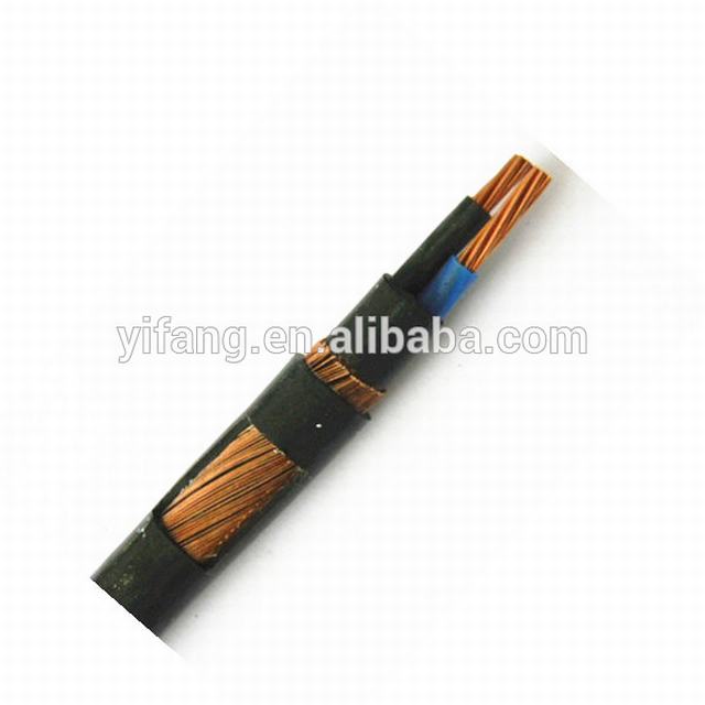 2XCY 0.6/1KV LV Power Cable with Concentric Conductor